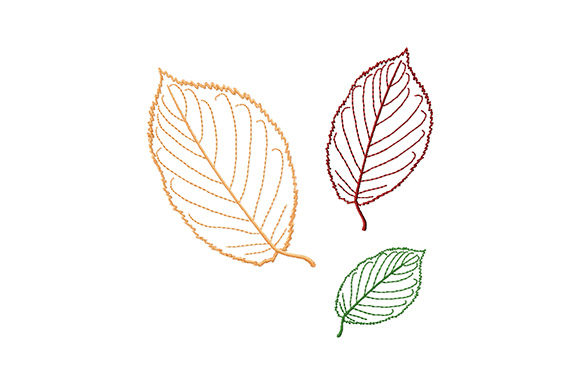 Beech Tree Leaves Embroidery