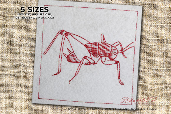 Rhaphidophoridae Bluework